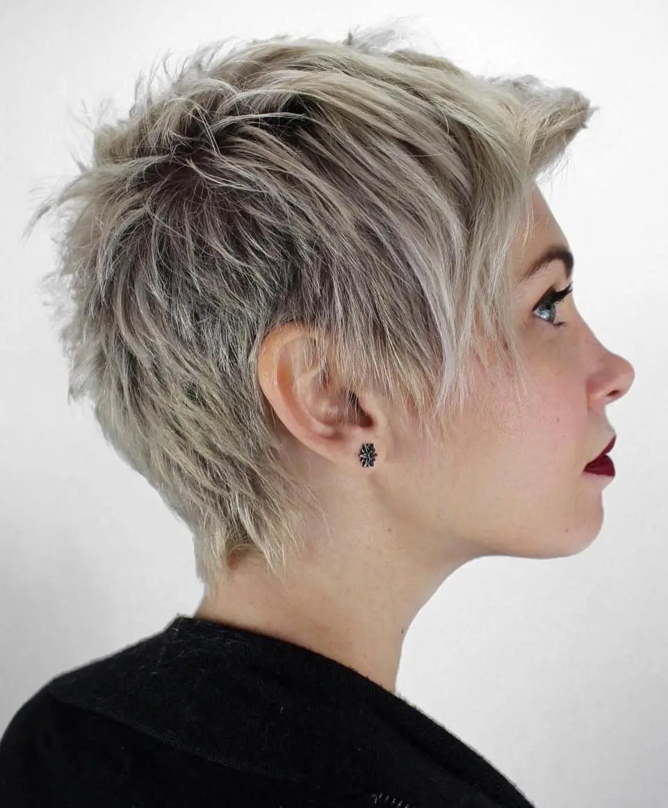 Pixie Short Hair Grey Highlights Pixie Short Hairstyles