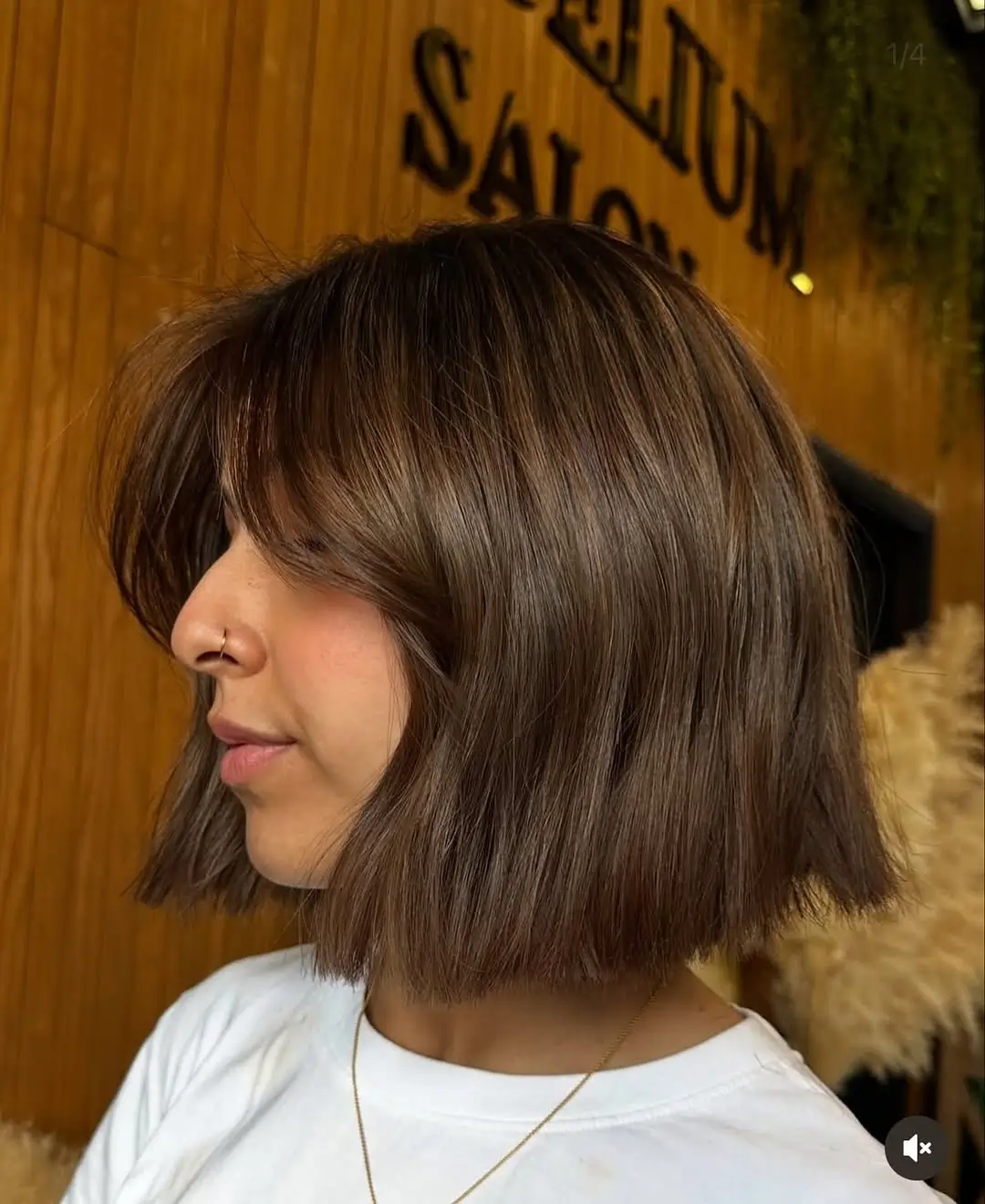 summer hair color ideas for brunette women 2026 Chic Short Bob with Espresso Depth