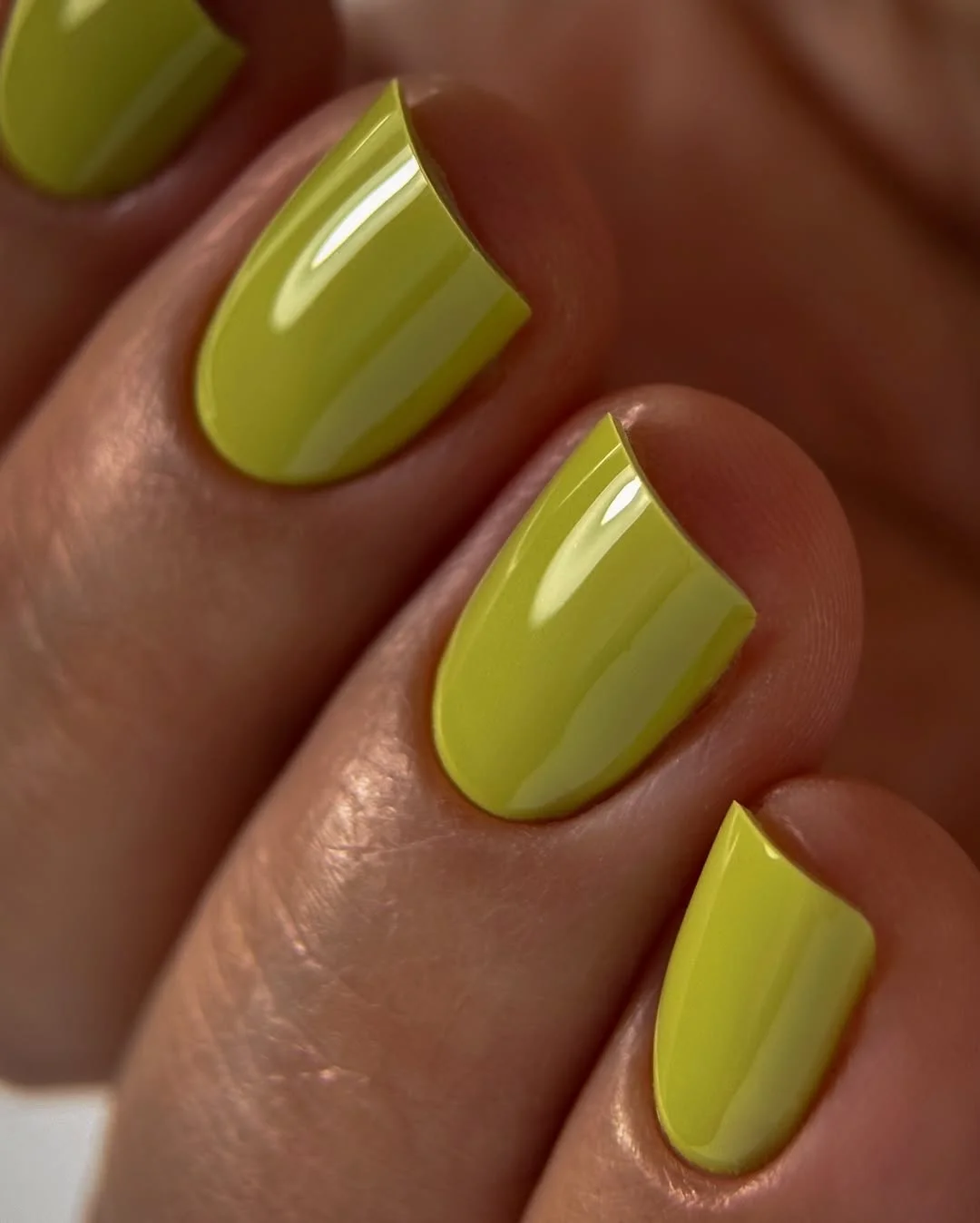 short summer nails 2026 Lime Sorbet Gloss Nails