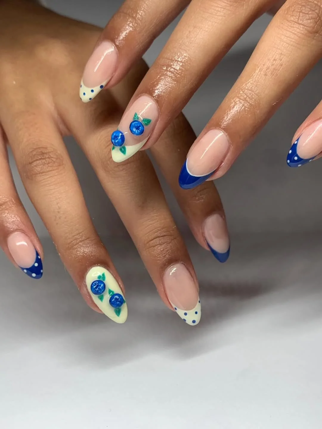 summer fruits nail art 2026 Blueberry French Tip Nails