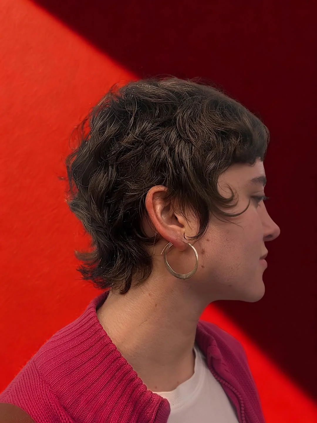 textured summer bixie haircut 2026 Soft Curly Bixie with Retro Volume