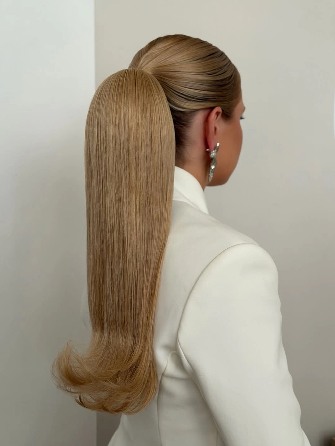 fall hairstyles for office 2026 Sleek Low Ponytail With Luxe Finish