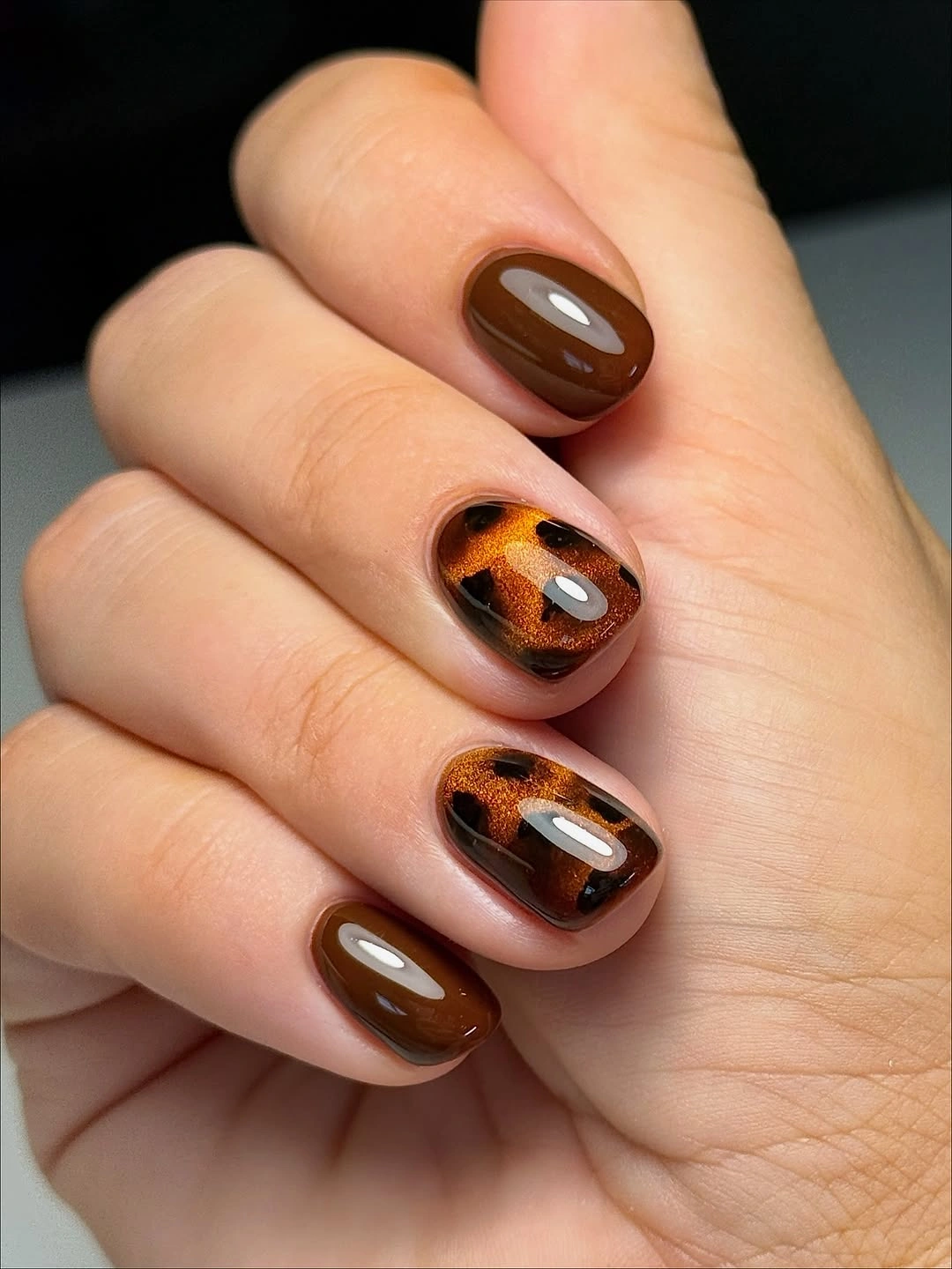 fall dark nail shadow ideas 2026 Molten Tortoiseshell Chocolate