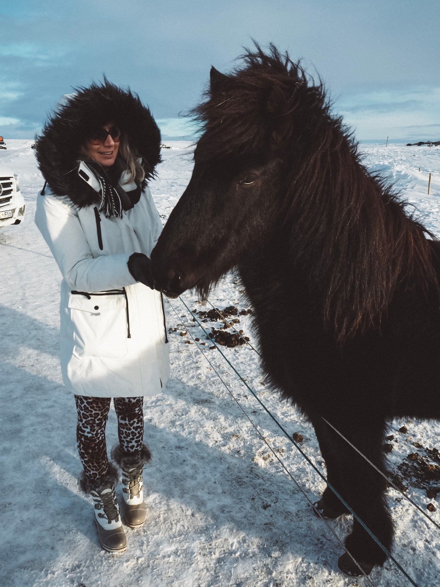 Winter Exploration Animal Encounter Outfit Idea — Iceland Winter Outfits