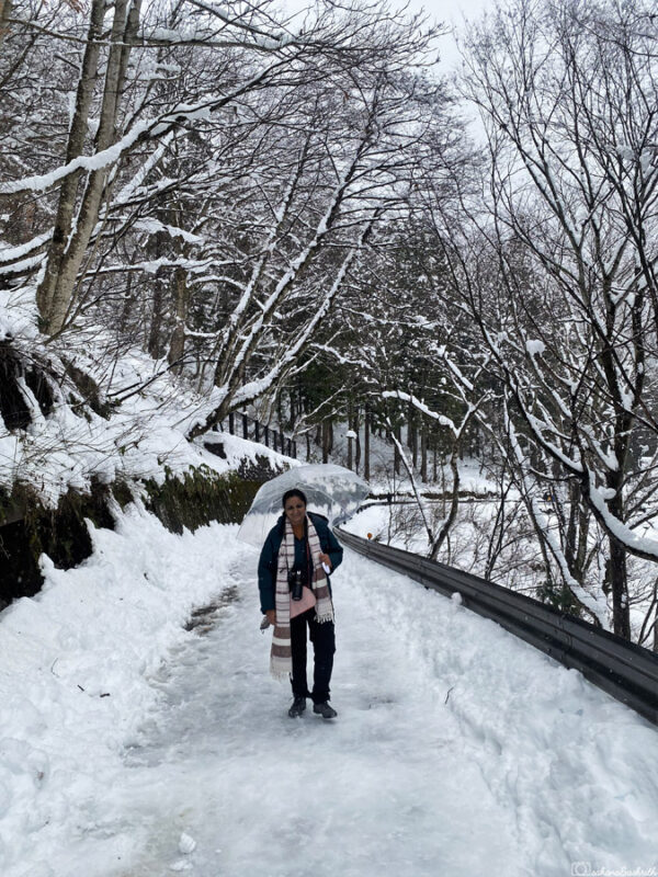 Dark Teal Puffer Jacket in Snowy Landscape — Japan Winter Outfits