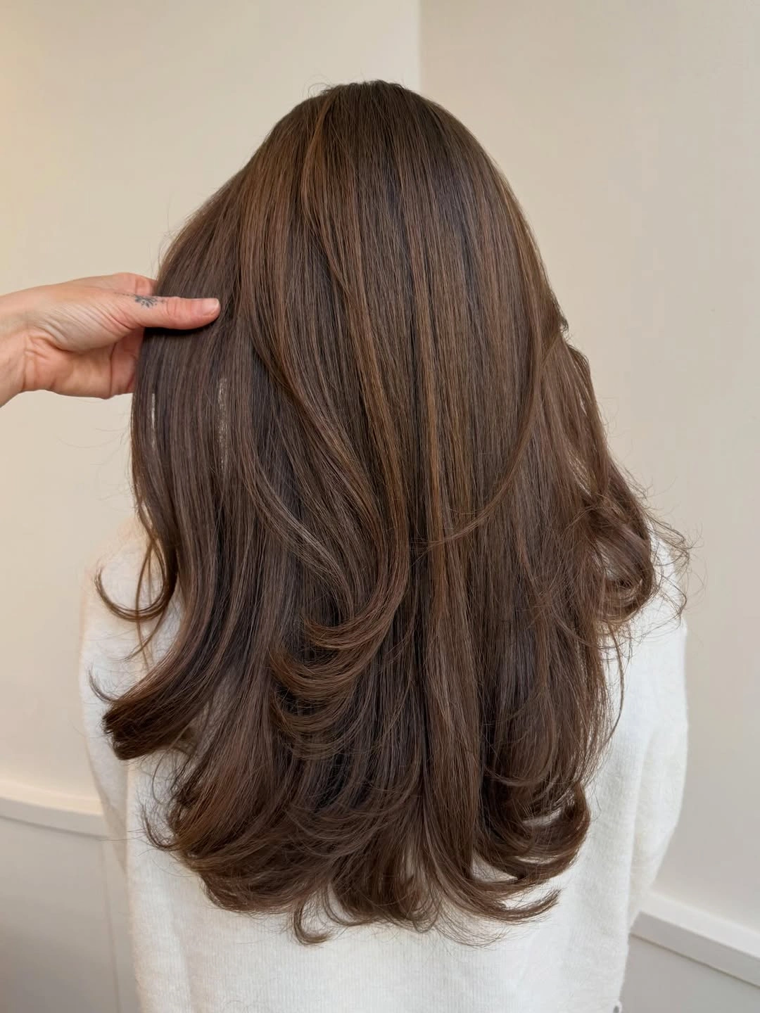cozy winter hair color ideas for brunettes Soft Cocoa Brown With Voluminous Layers