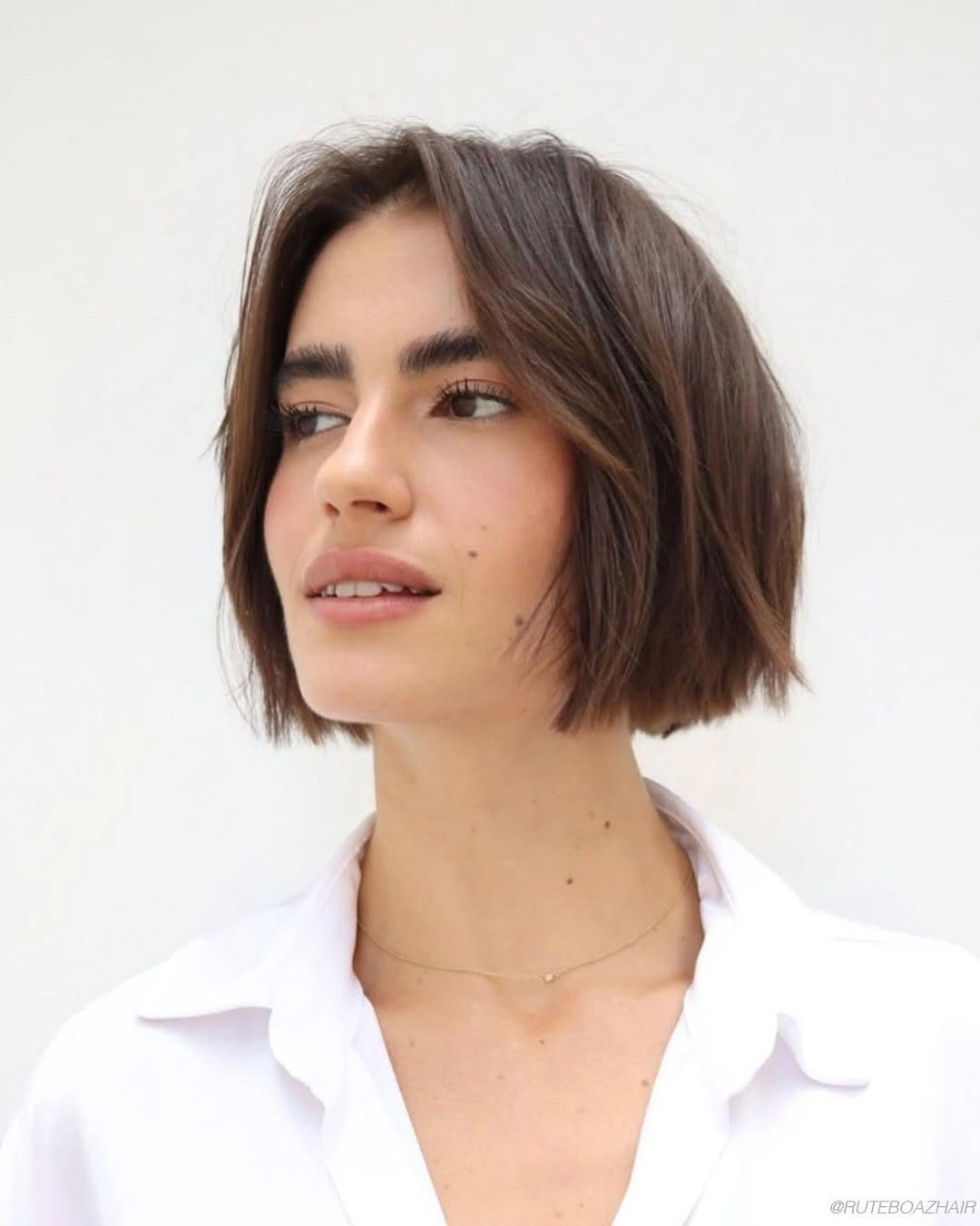 november haircut ideas 2026 Soft Brown French Bob With Side Swept Layers