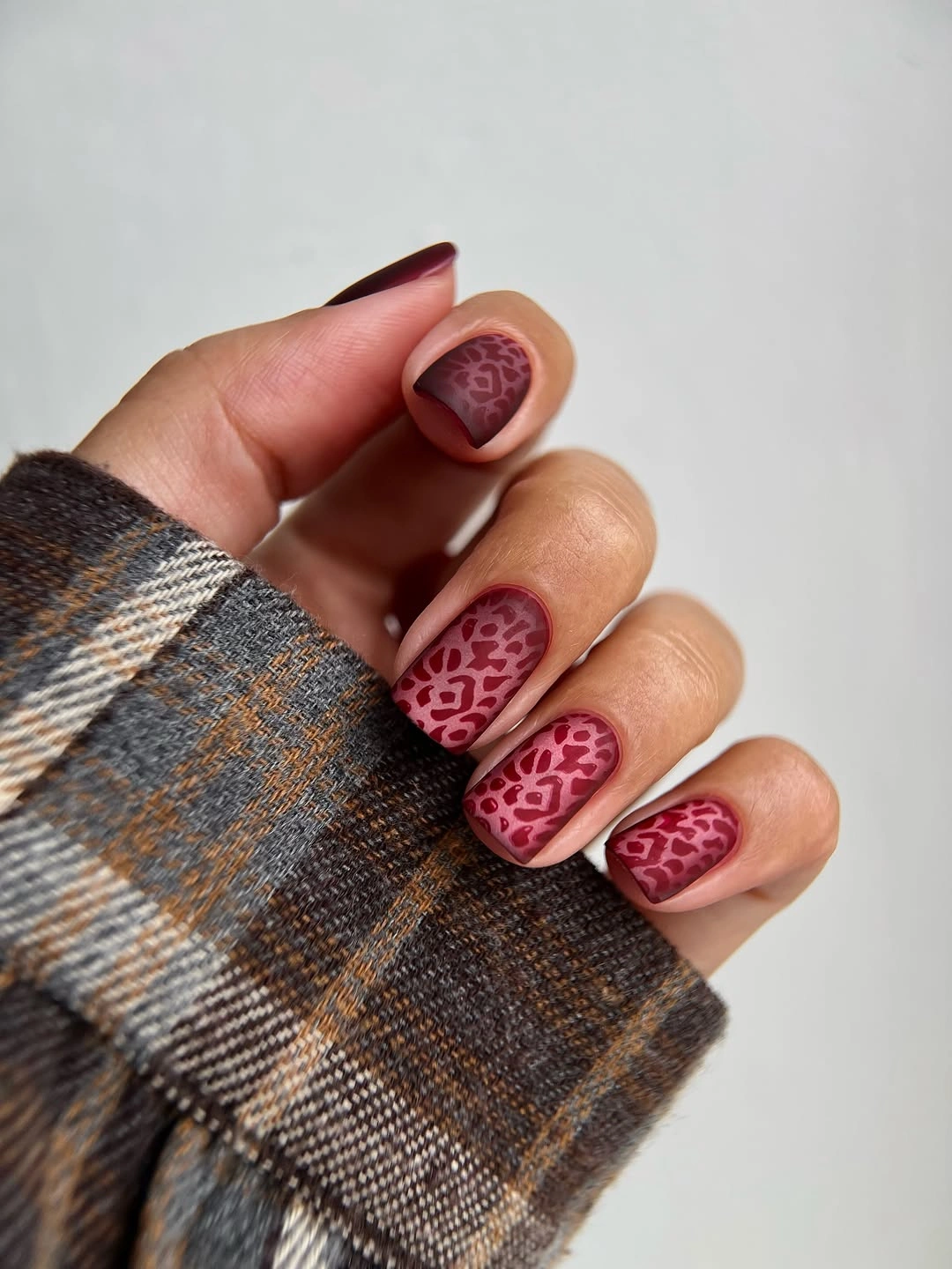 November nails colors 2026 Berry Leopard Short Nails