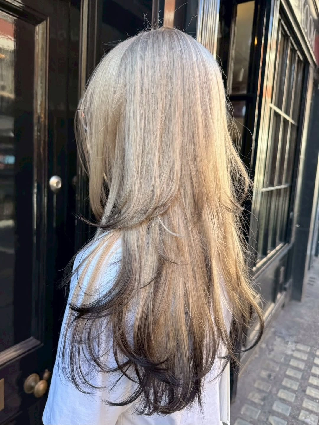 winter hair colors Icy Blonde With Smoky Tips