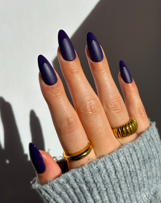 Matte Navy with Glossy French Tips — Dark Winter Nails