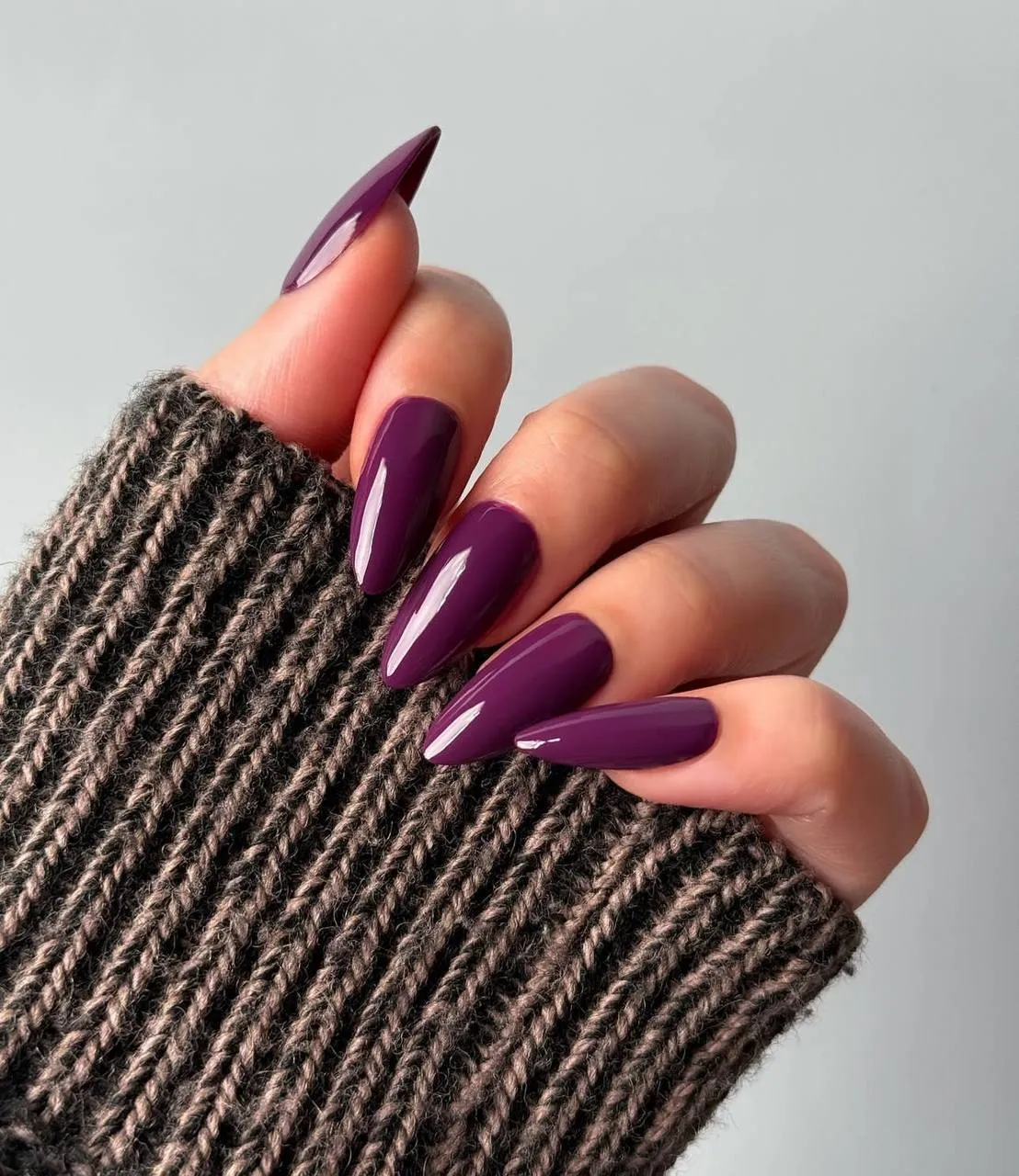 Long Stiletto Deep Plum Purple Glossy Long Stiletto Deep Plum Purple Glossy — Winter Purple Nails