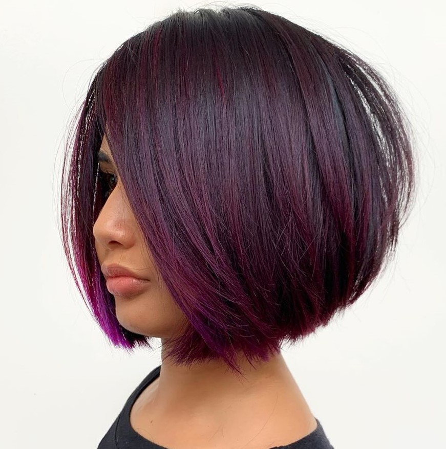 Dark Base With Plum and Purple Highlights — Plum Hair Color