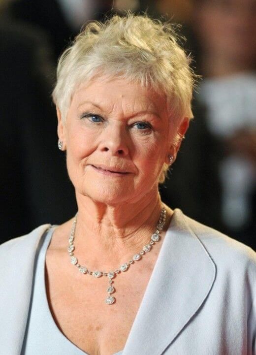 Voluminous Grey Pixie With Textured Fringe Voluminous Grey Pixie With Textured Fringe — Winter Hairstyles for Women Over 70