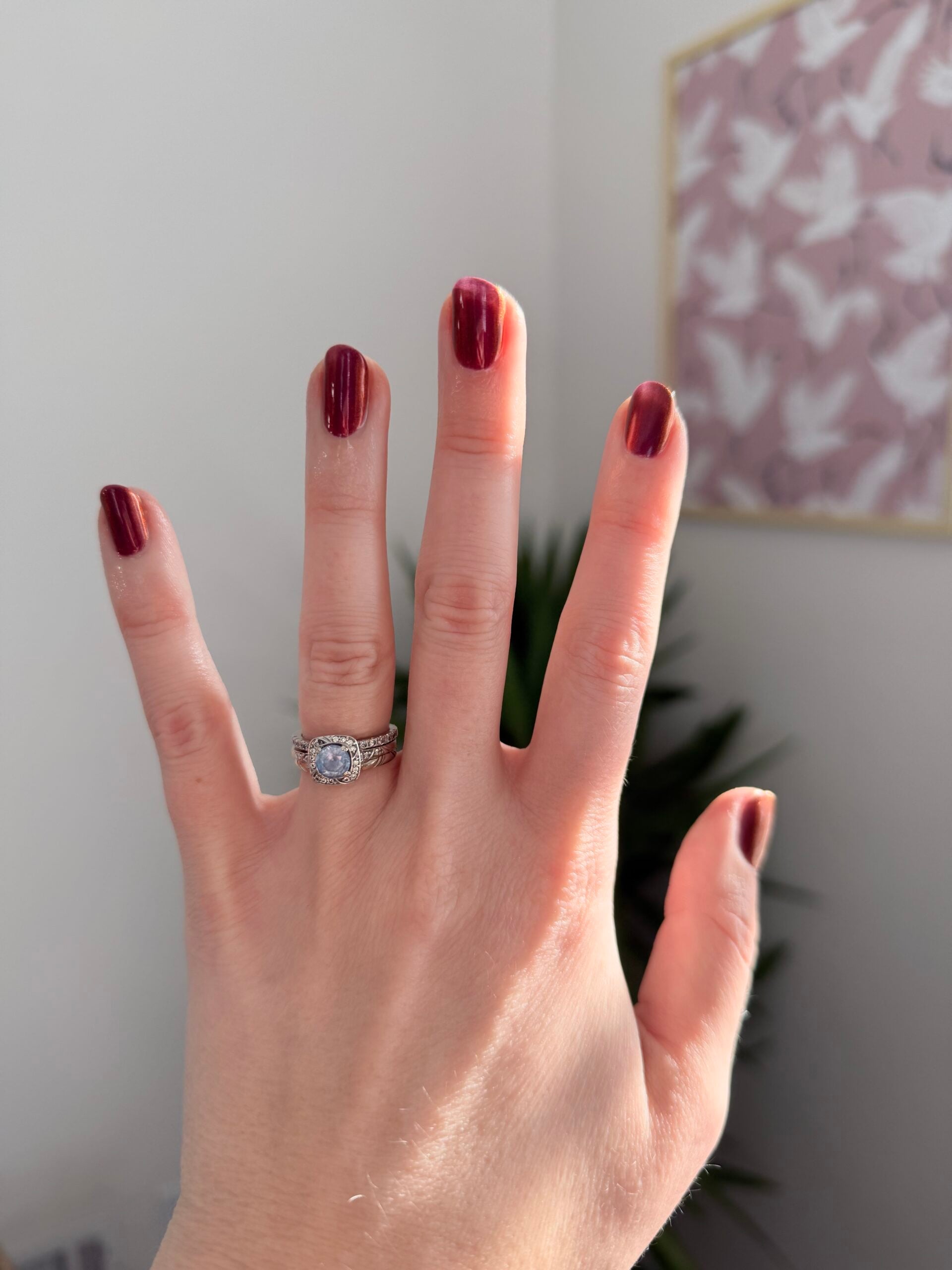 Short Rounded Glossy Red Nails Short Rounded Glossy Red Nails — Winter Red Nails