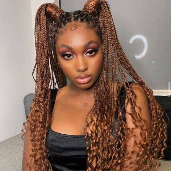 Box Braids in High Pigtails — Winter Braids for Black Women