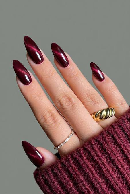Mesmerizing Deep Burgundy Cat-Eye Stiletto Nails — Burgundy Nails