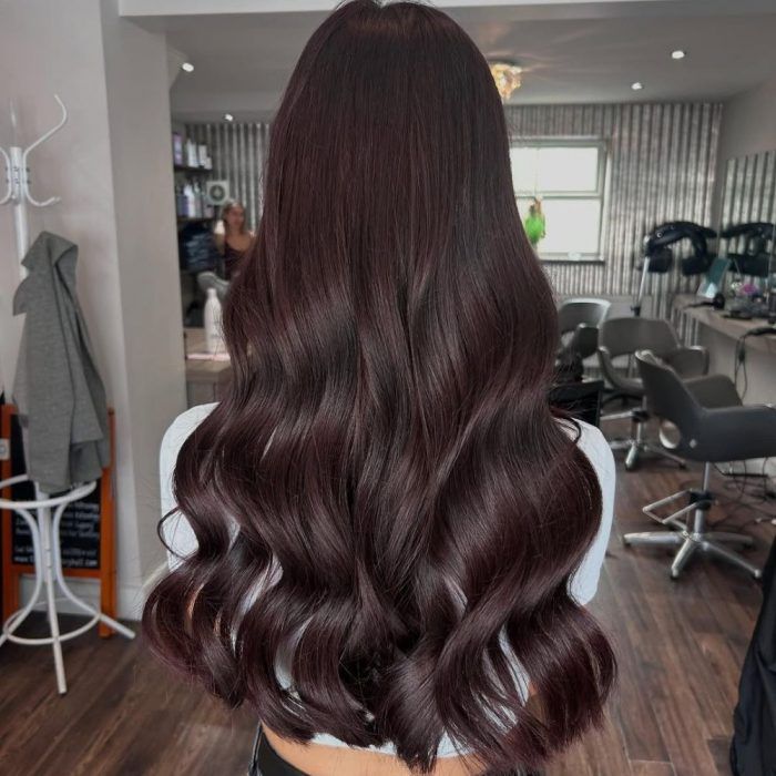 Back View Visual Idea — Winter Brown Hair Colors