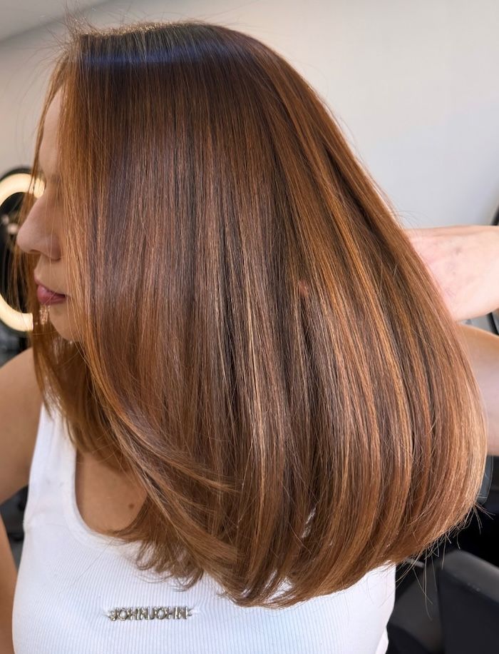 Blunt Bob With Lighter Cinnamon Highlights Blunt Bob With Lighter Cinnamon Highlights — Cinnamon Brown Hair