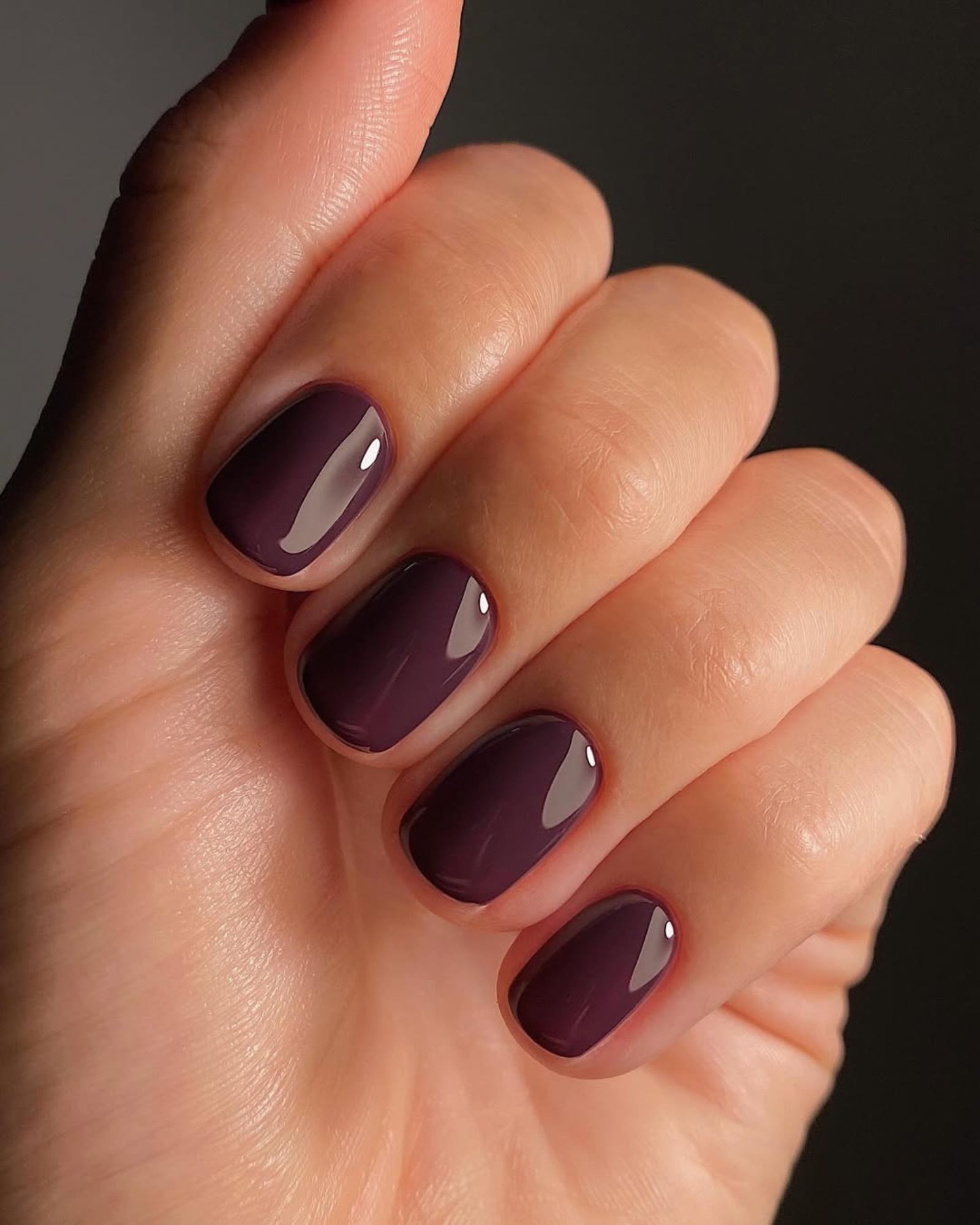Short Round Deep Plum Glossy — Winter Nail Colors