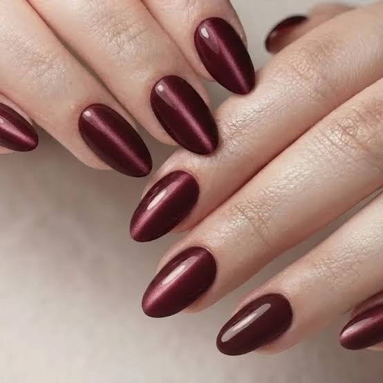 Deep Burgundy Glossy Magnetic Cat Eye — Velvet Nails