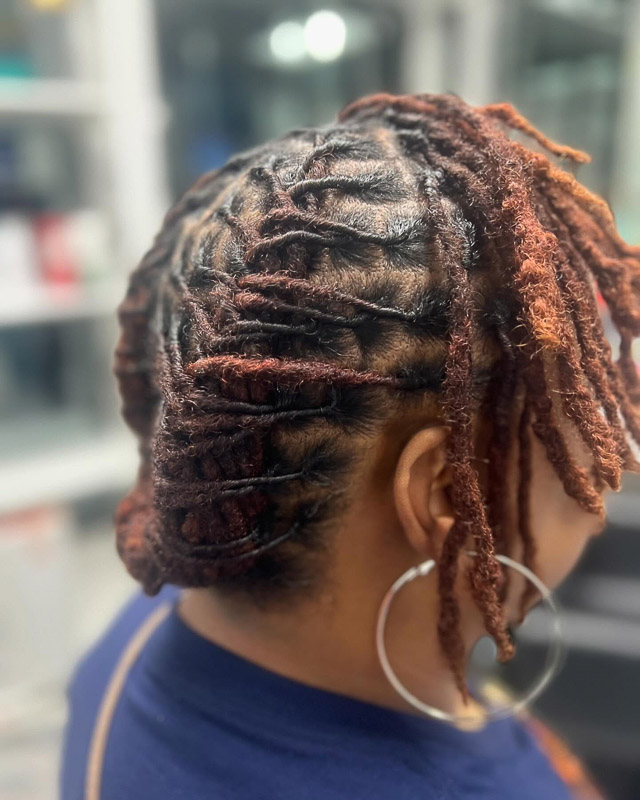 Short Visual Idea — Winter Loc Styles