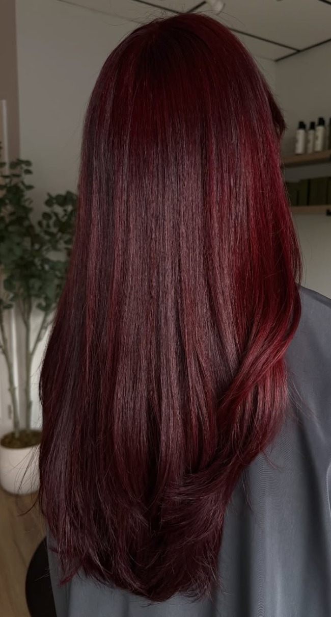 Mid-Back Straight Deep Burgundy Mid-Back Straight Deep Burgundy — Burgundy Hair Color