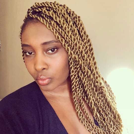 Shoulder-Length Blonde Twist Braids — Winter Braids for Black Women