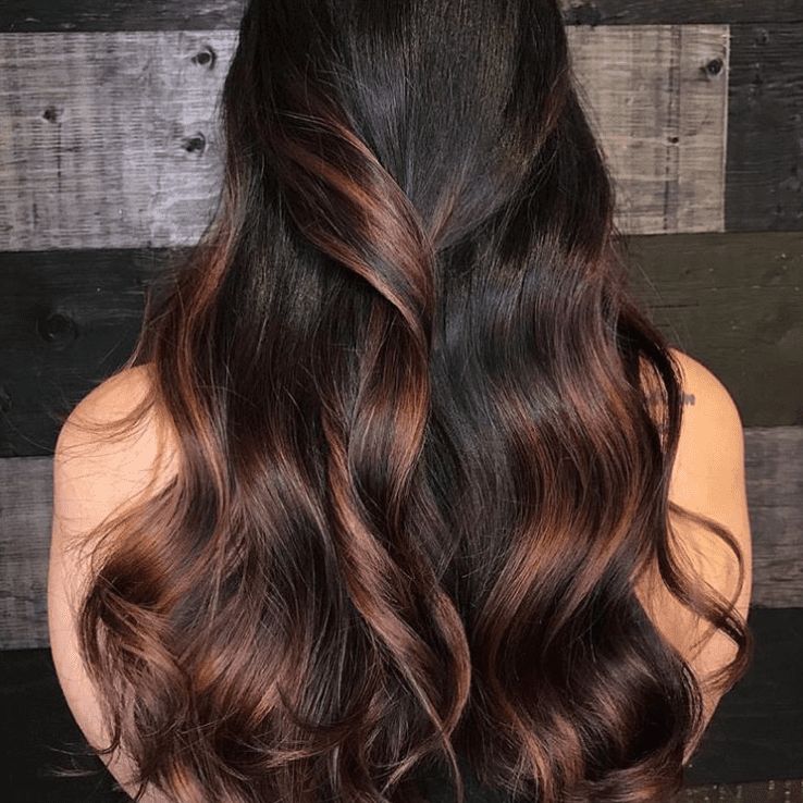 Back View Visual Idea Back View Visual Idea — Chestnut Brown Hair