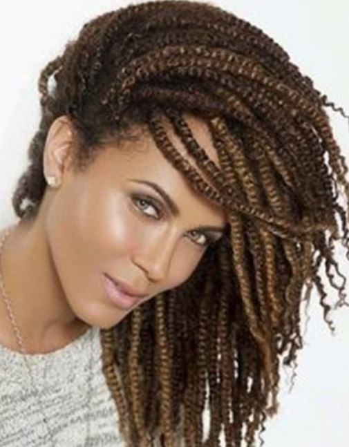 Brown With Blonde Highlights Visual Idea — Winter Braids for Black Women