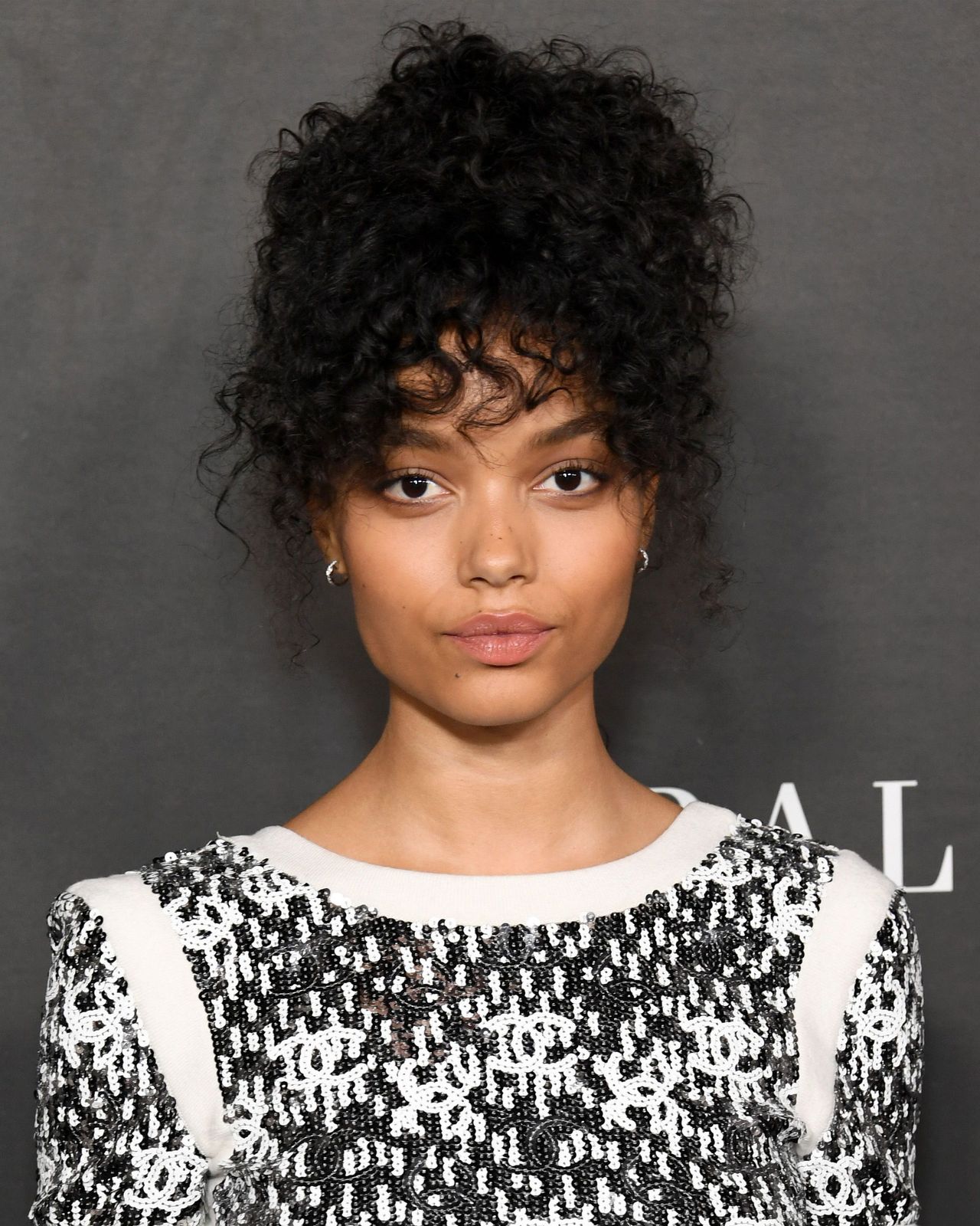 Updo Visual Idea Updo Visual Idea — Winter Hairstyles for Curly Hair