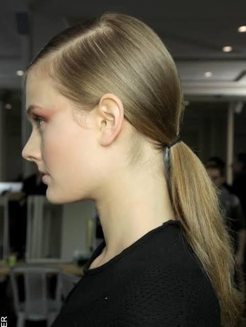 Ash Blonde Visual Idea — Winter Ponytail Hairstyles