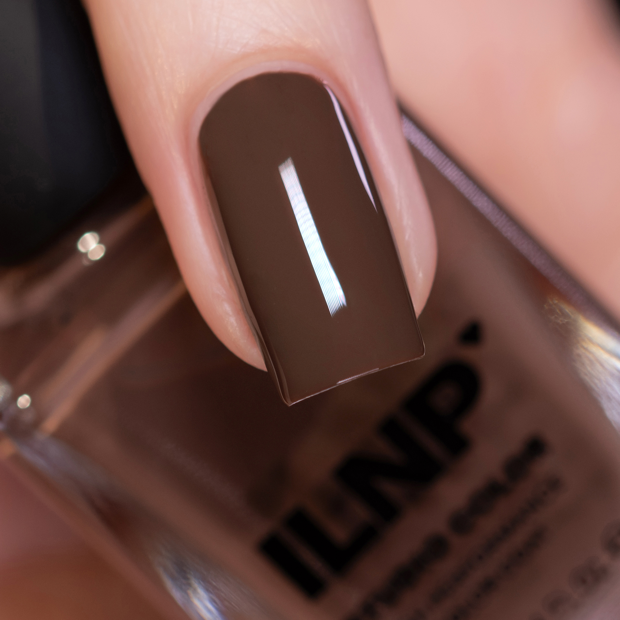 Neutral Medium Chocolate Brown Square Nails Neutral Medium Chocolate Brown Square Nails — Chocolate Brown Nails