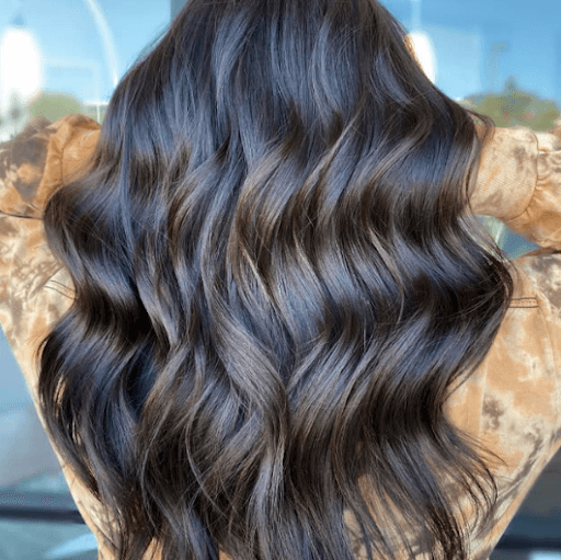 Dark Brown with Cool Ash Highlights Dark Brown with Cool Ash Highlights — Mushroom Brown Hair