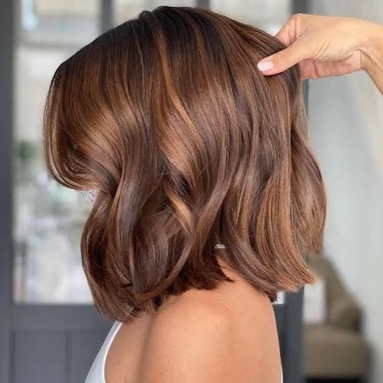 Wavy Bob With Chestnut Highlights Wavy Bob With Chestnut Highlights — Chestnut Brown Hair