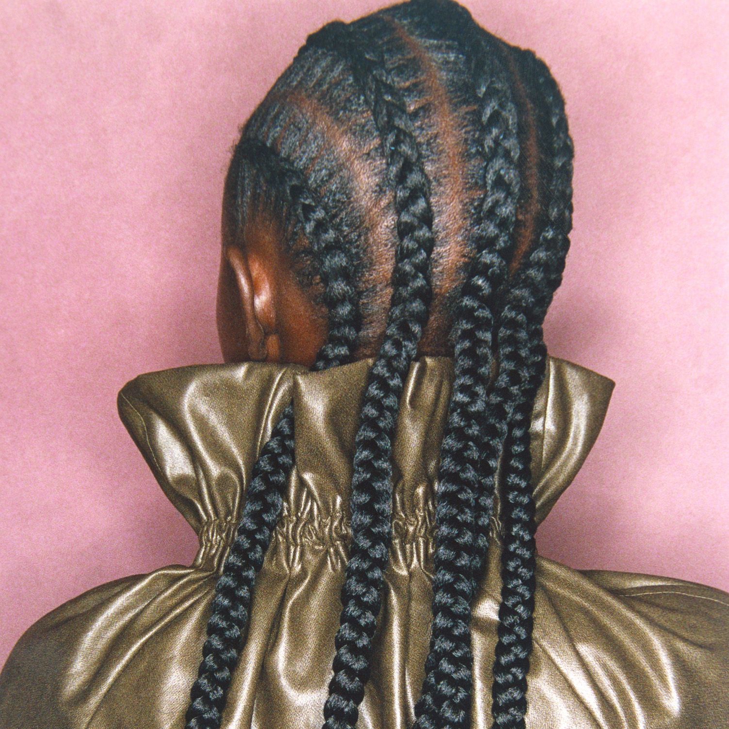 Long, Thick Braids — Winter Braids for Black Women