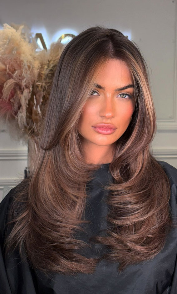 Chestnut Brown With Caramel Highlights — Winter Hair Colors for Olive Skin