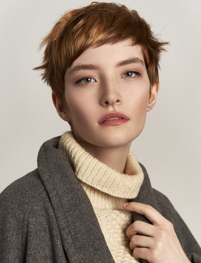 уши Visual Idea — Winter Pixie Haircuts
