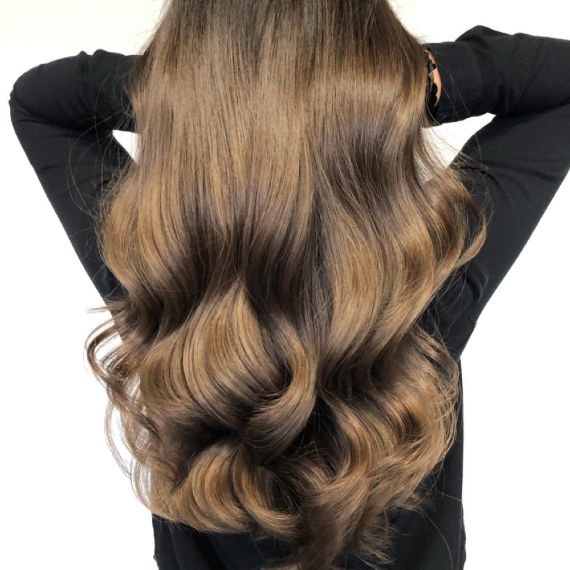 Back View Close Crop Visual Idea Back View Close Crop Visual Idea — Chestnut Brown Hair