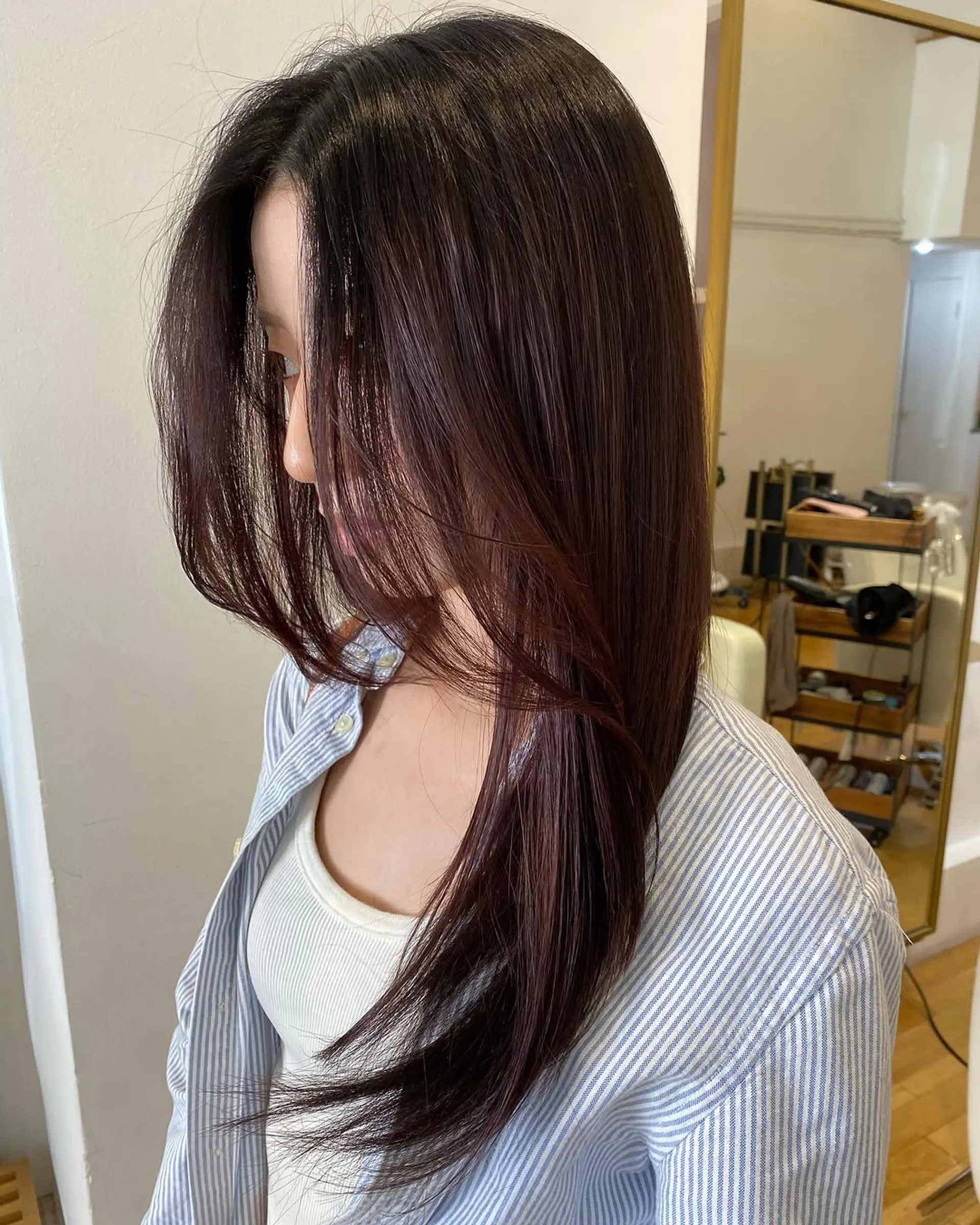 Chocolate Plum With Red Undertones — Plum Hair Color