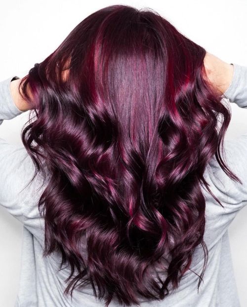 Deep Plum With Dark Red Highlights — Plum Hair Color
