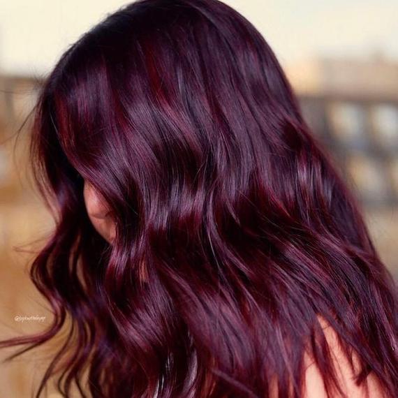 Deep Plum With Subtle Burgundy Highlights — Plum Hair Color