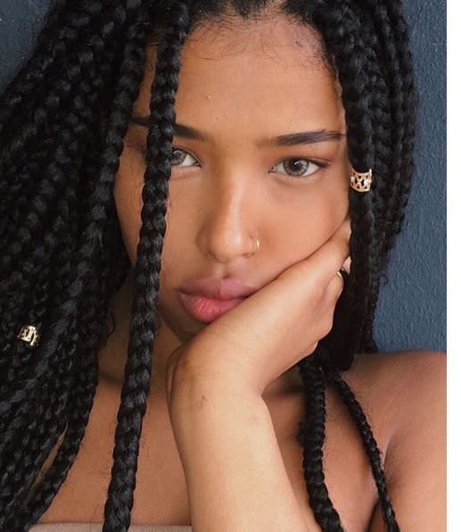 Front View Close Crop Visual Idea — Winter Braids for Black Women