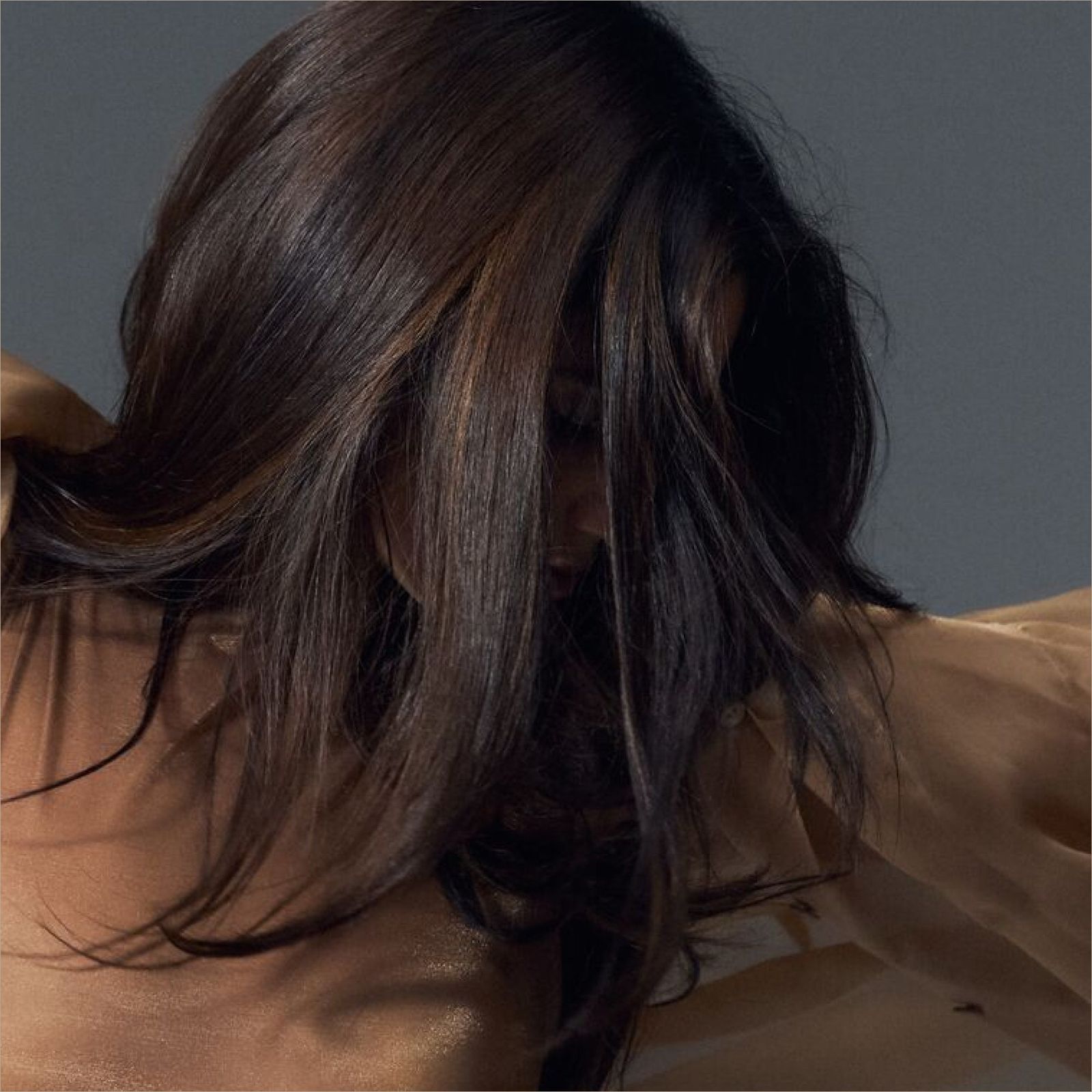 Side Visual Idea Side Visual Idea — Dark Chocolate Brown Hair