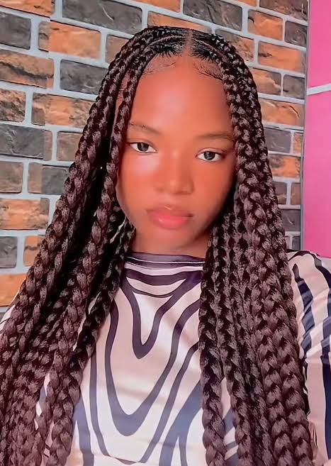 No Bangs Visual Idea — Winter Braid Colors for Black Women