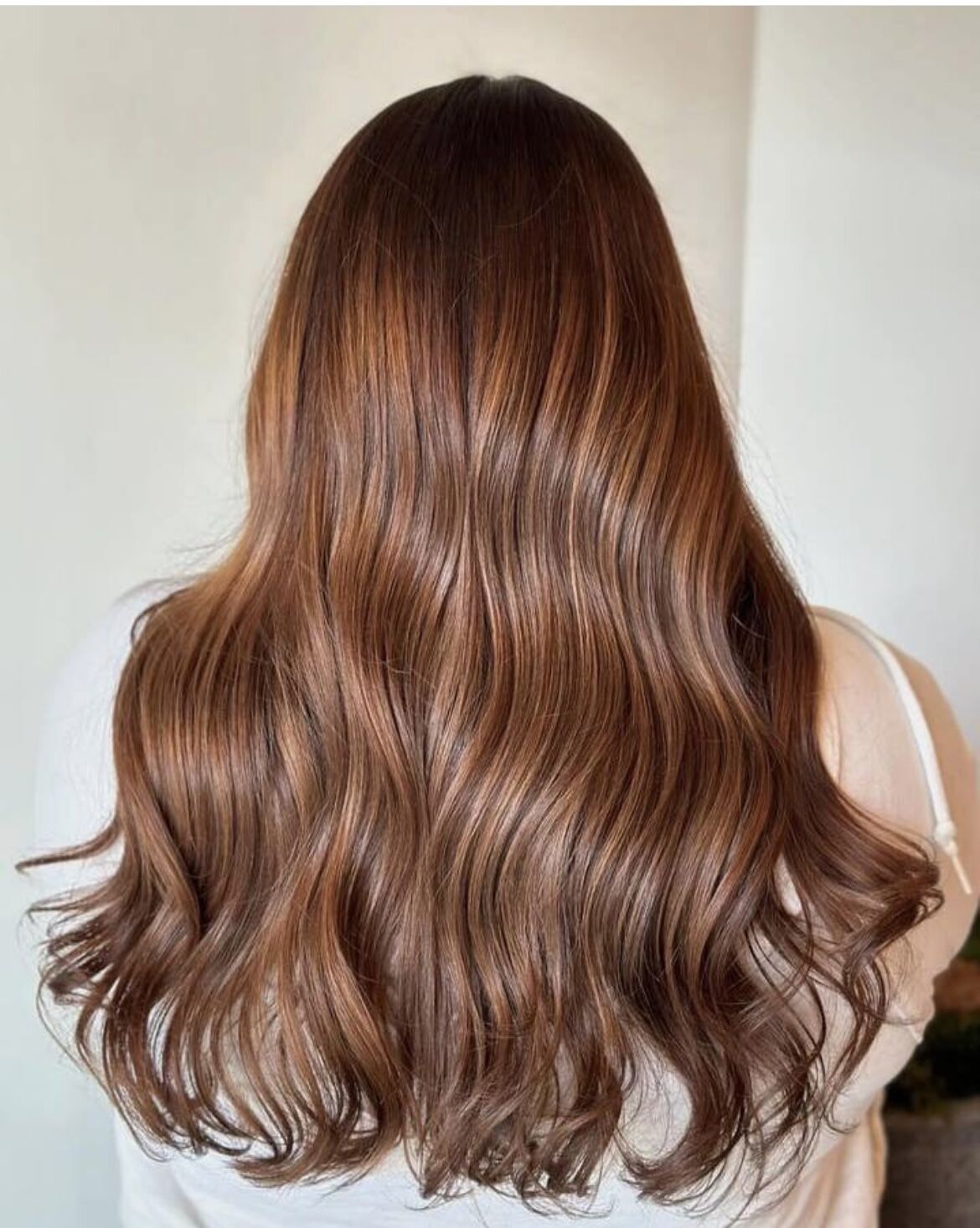 Mid-Back Medium Brown With Copper Highlights — Winter Hair Colors for Plus Size Women