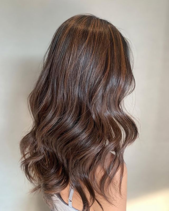 Mid-Back Warm Chestnut With Golden Brown Mid-Back Warm Chestnut With Golden Brown — Chestnut Brown Hair