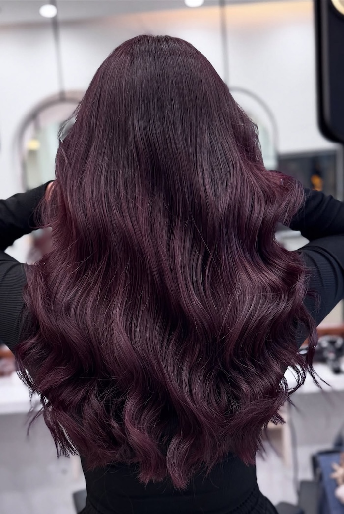 Mid-Back Visual Idea — Dark Winter Hair Colors