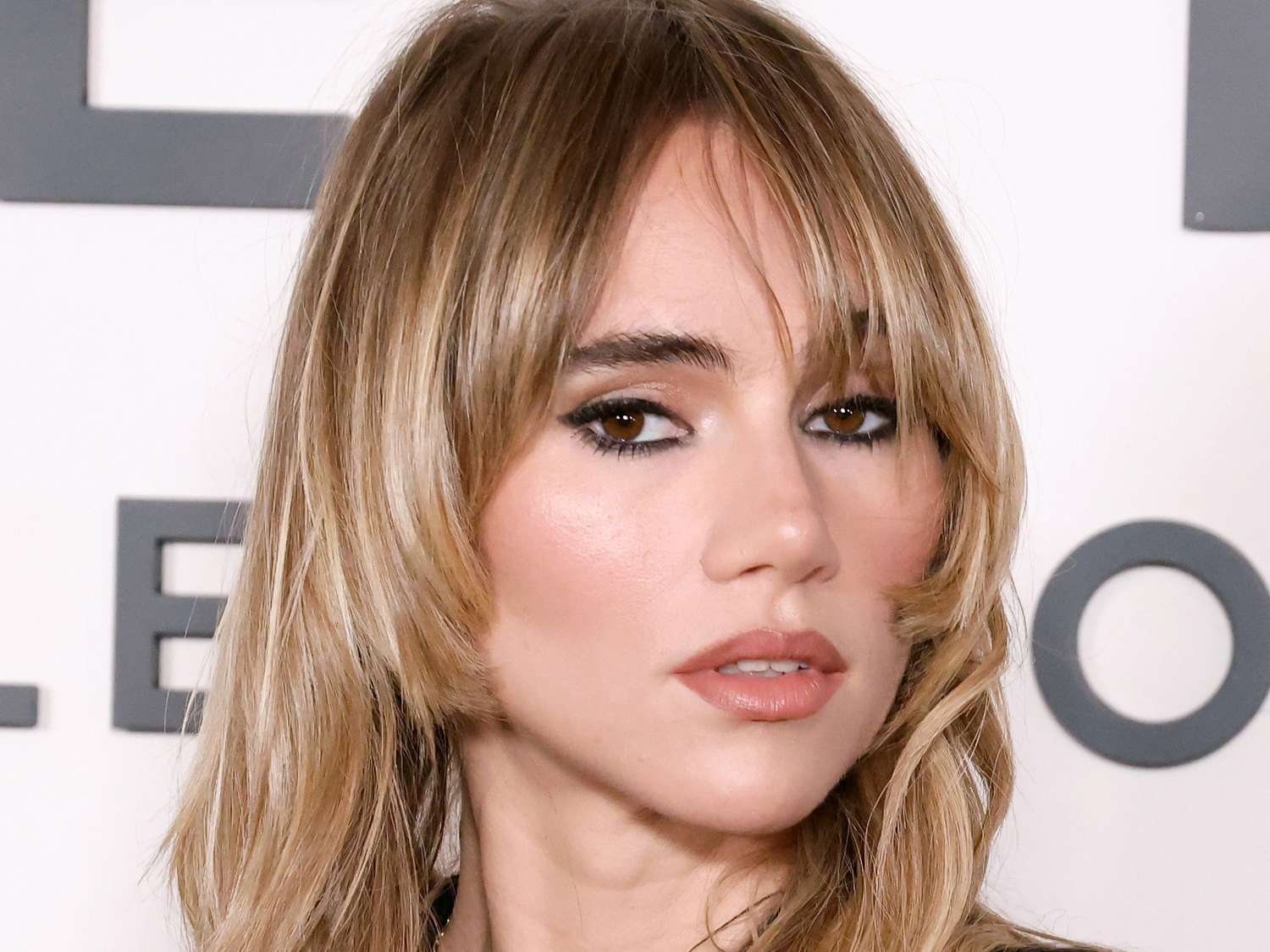 Various Blonde Balayage and Ombré Looks — Blonde to Brunette Hair