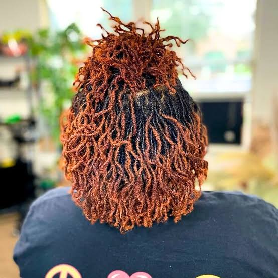 Winter Loc Styles