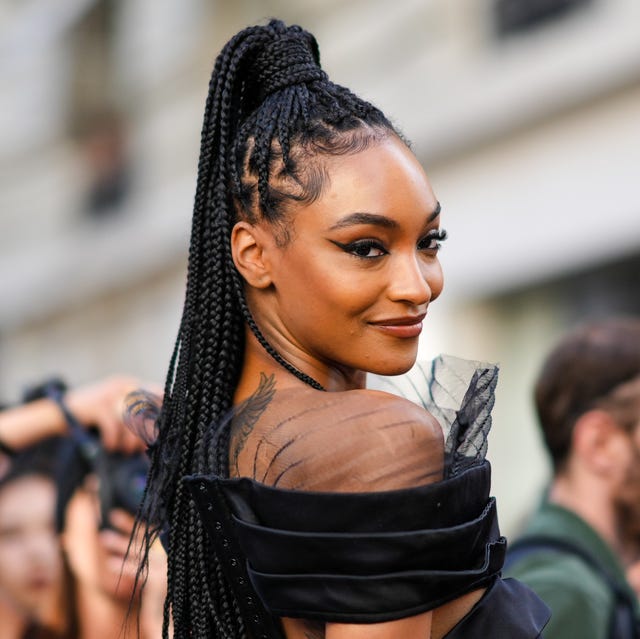 Black Box Braids High Ponytail — Winter Braid Colors for Black Women